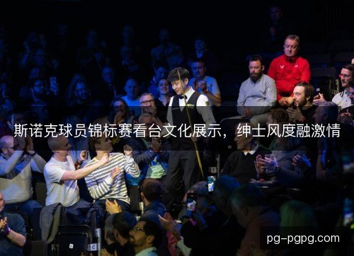 斯诺克球员锦标赛看台文化展示，绅士风度融激情